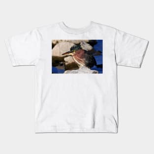 Green heron Kids T-Shirt